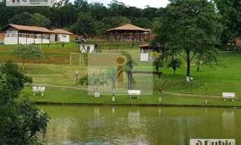 Imagem 3: Apartamento 3 dorm - Jardim Paulistano