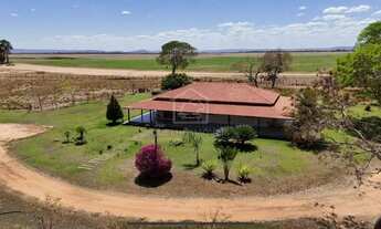 Imagem 7: ARINOS MINAS GERAIS FAZENDA PRONTA PARA PRODUÇÃO COM ALTO POTENCIAL