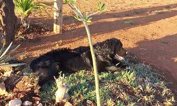 Imagem 3: Chácara condomínio Estância Bela Vista