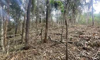 Imagem 2: Chácara 1000m2 oportunidade