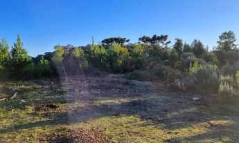 Imagem 3: Terreno - Bairro Santa Terezinha