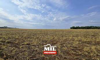 Imagem 5: FAZENDA DE LAVOURA COM PIVÔ, BEM LOCALIZADA E COM EXCELENTE PREÇO