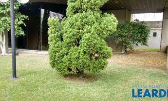 Imagem 7: COMERCIAL - VILA MARIANA - SP