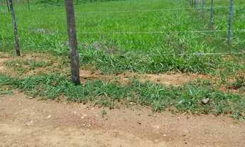 Imagem: Lote para Venda atrás da Fazenda Jaboticabal