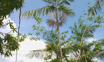 Imagem 5: Chácara 23x150 ACEITO PROPOSTA