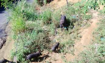 Imagem 2: Vendo ou troco Casa com 2 dormitórios