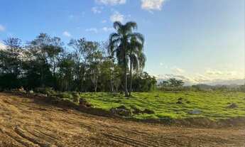 Imagem 7: Vendo lotes a 1,5 km da Rodovia Presidente Dutra