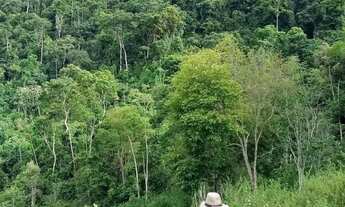 Imagem 2: Venda-se 2 alqueires e 10 litros de mata no Município de Mimoso do Sul/ES