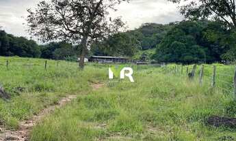 Imagem 5: Fazenda 32 alqueires a venda Caldas Novas - GO