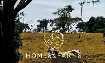 Imagem 4: Fazenda à Venda em Goiás