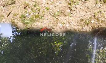 Imagem 7: Chácara em Bugre - Vila Maria - Balsa Nova/PR