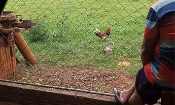 Imagem 2: Rancho a venda ! Fuja da correria da cidade e encontre a paz que você busca.