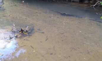 Imagem 6: Vende se chácara em bela vista de Goiás