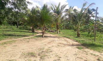 Imagem 7: Vendo chacara a 16 km de imperatriz otimo para lazer e descanso.!