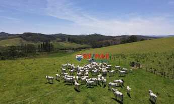 Imagem 3: Fazenda Alvorada em Andradas MG