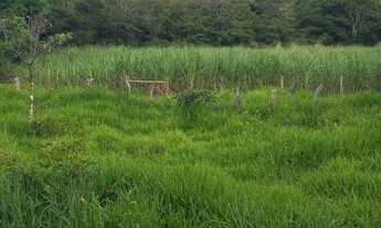 Imagem: Imóveis urbanos E Rurais Em Moc e Região