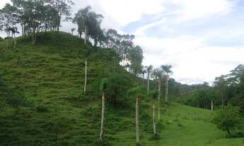 Imagem 6: Sitio valor R$ 8.500,00 cada hectares