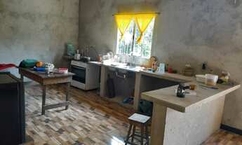 Imagem 5: Grande casa com terreno de 25 mil metros quadrados e arvores frutíferas