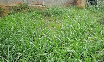 Imagem 4: Terreno à venda, 360 m² por R$ 110.000,00 - Itapeba - Maricá/RJ