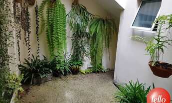 Imagem 4: São Paulo - Casa Comercial - Moema