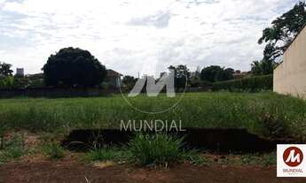 Imagem 4: Terreno (terreno normal