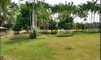 Imagem: SITIO/FAZENDA LOCALIZADO EM BALBINA