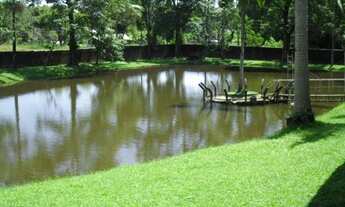 Imagem 3: JOINVILLE - Terreno Padrão - FLORESTA