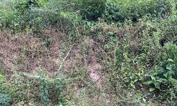 Imagem 3: Sitio Chácara com venda por R$330.000