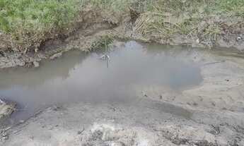 Imagem 7: Chácara 4000m², muito arborizada, Energia, Local Agradavel, Entre Guapo/Aragoiânia