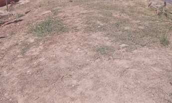 Imagem 3: Vendo área 19.000