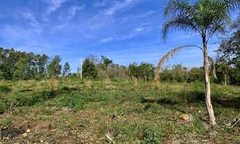 Imagem 2: Chacrinha - Pego seu carro ou moto no brick