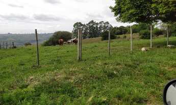 Imagem 6: Chácara - ideal para plantio de Oliveiras e Nogueiras