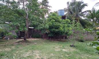 Imagem 6: Vende-se sítio em Panaquatira