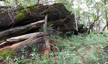 Imagem 6: Fazenda 21 Km de Padre Bernardo Go