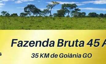 Imagem: Fazenda 45 Alq Aragoiania Bruta rica em