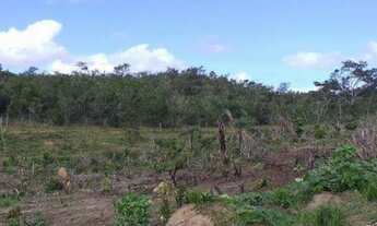 Imagem 7: Fazenda Fazenda / sítio com venda por R$1.200.000