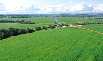 Imagem: FAZENDA GUEROBA