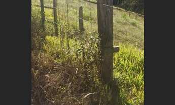 Imagem 4: Vendo sítios em lugar maravilhoso