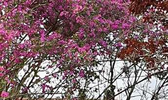 Imagem: Sítio para Venda em Morungaba, Zona Rural