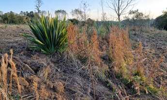 Imagem 5: Terreno em São José dos Pinhais, na Estrada Principal da Cotia com 30.000 m² (3 hectares)!