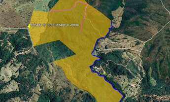 Imagem 2: Fazenda 45 Alq Aragoiania Bruta rica em Água