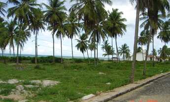 Imagem 4: Terreno Beira Mar Praia de Pitimbu PB