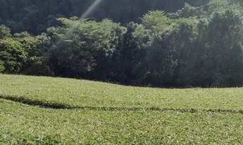 Imagem 3: Sítio serra Macaense bicuda grande 9,5 alqueires