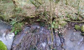 Imagem 4: Chácara - ideal para plantio de Oliveiras e Nogueiras