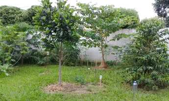 Imagem 4: URUPÊS - Terreno Padrão - URUPÊS