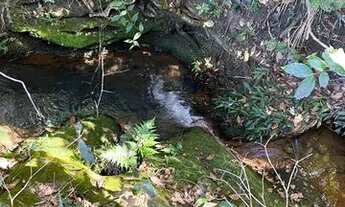 Imagem 3: Vendo Ágio De Chácara Urgente, 10.000,00 + Parcelas De 627,00, São 20.000M2!. L4KUNS