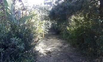 Imagem 2: Comercial para Aluguel em Ferraz de Vasconcelos/SP