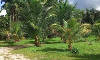 Imagem 7: Chácara em São Francisco do Pará