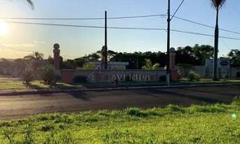 Imagem 4: LONDRINA - Terreno Padrão - Parque Leblon
