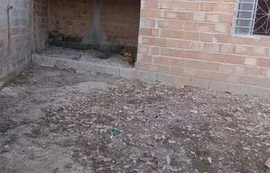 Imagem 4: Vendo este lote com 200mt bairro jardim primavera